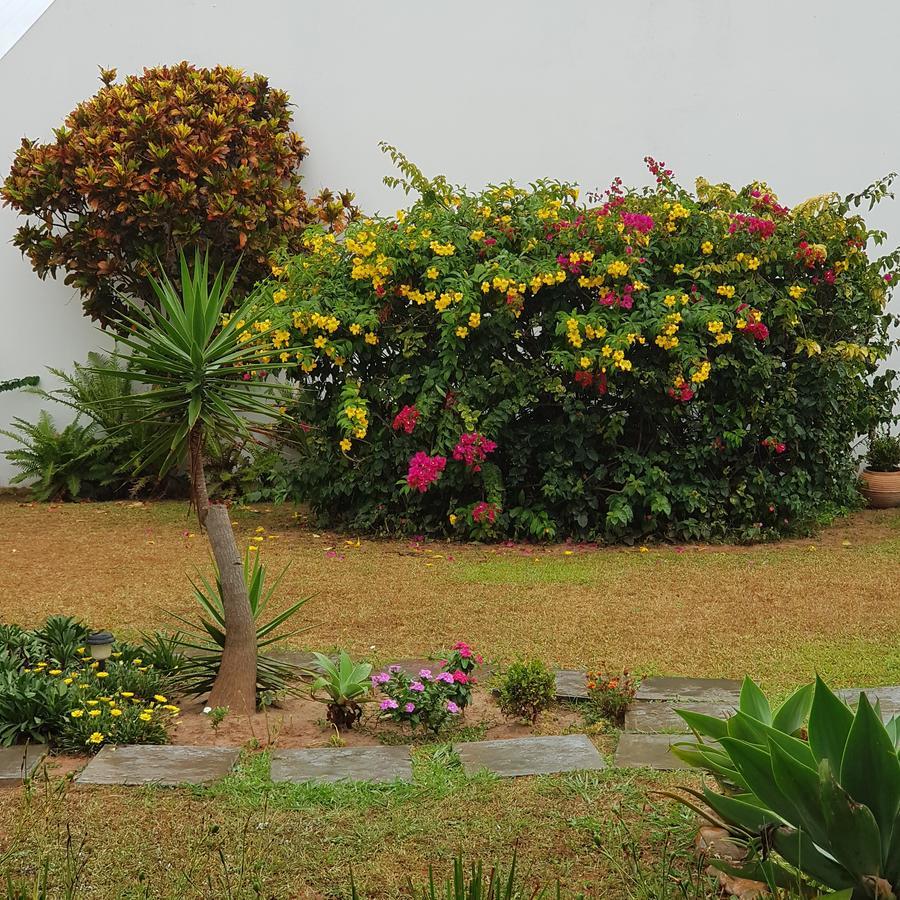 Idp204- Apartamento De 2 Dormitorios No Ingleses Florianópolis Exterior foto